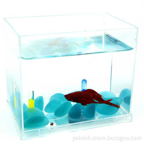 Wholesale Best Selling Acrylic Fish aquarium/Mini Acrylic Fish Tank for Sale